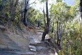 Albany Strling Range Bluff Knoll (2)